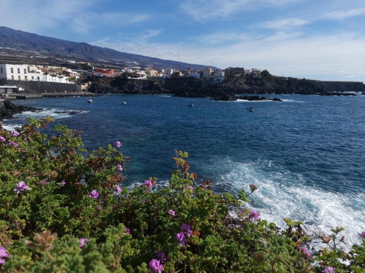 Ilusion Alcala Mar 아파트 외부 사진